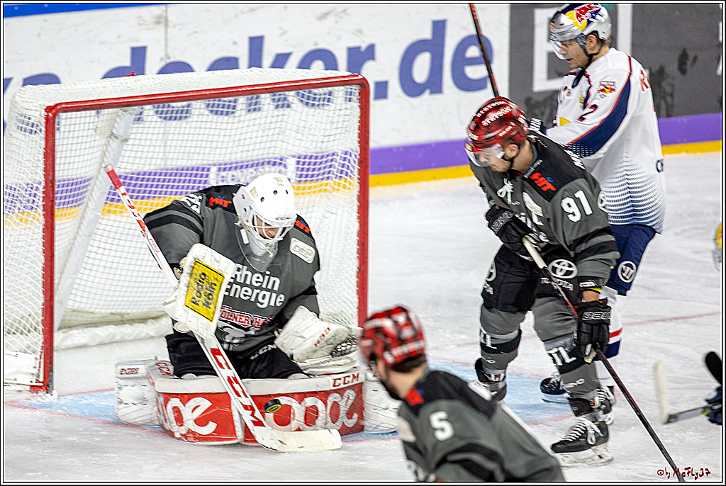 DEL; Koelner Haie - EHC Red Bull Muenchen, 17.02.2019